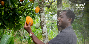 cocoa farmers and benefits of fair trade