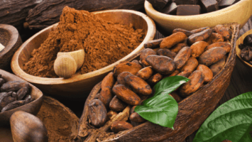 Del cacao al chocolate 