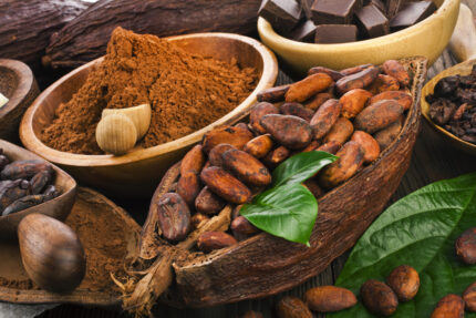 Conoce Los Beneficios Del Cacao - AlterNativa3