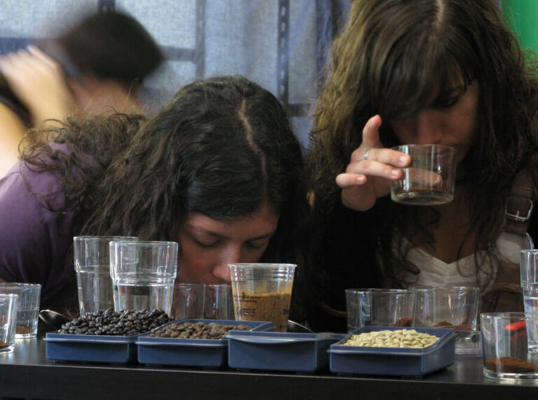 Cafè ciutat, el teu cafè de comerç just