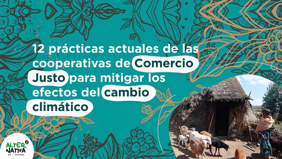 12 prácticas actuales de las cooperativas de Comercio Justo para mitigar los efectos del cambio climático